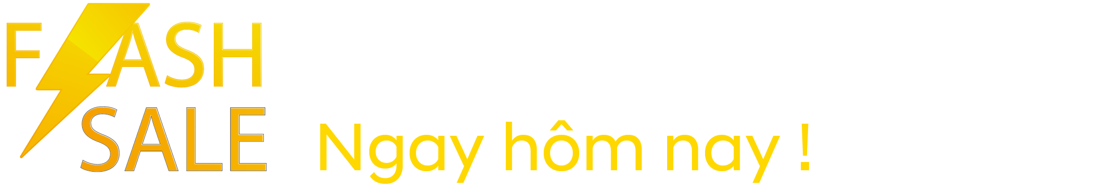 Flash Sale2
